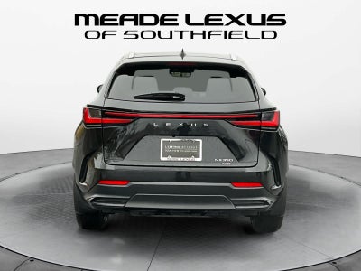 2025 Lexus NX Luxury