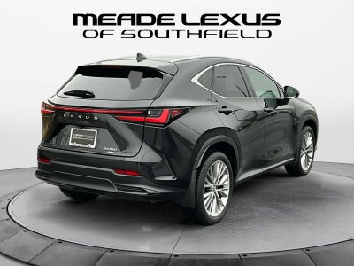 2025 Lexus NX Luxury