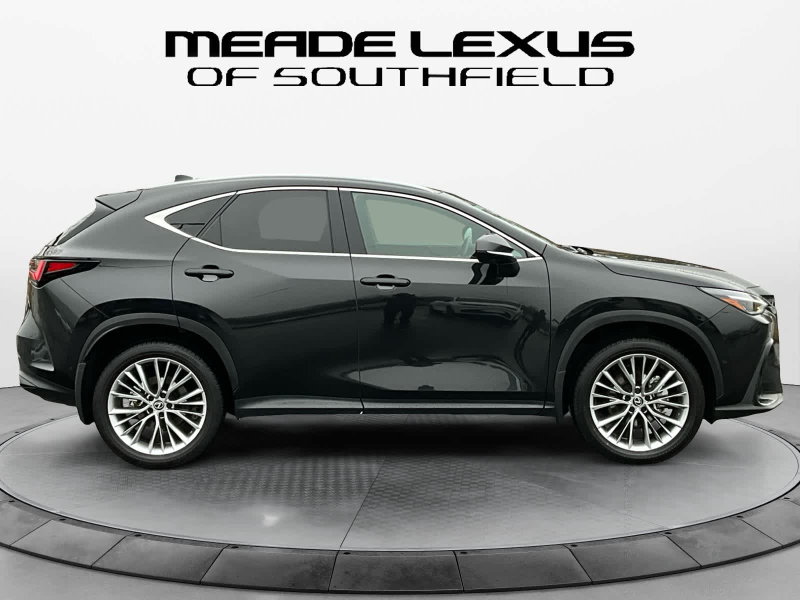 2025 Lexus NX Luxury