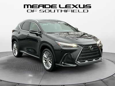 2025 Lexus NX Luxury