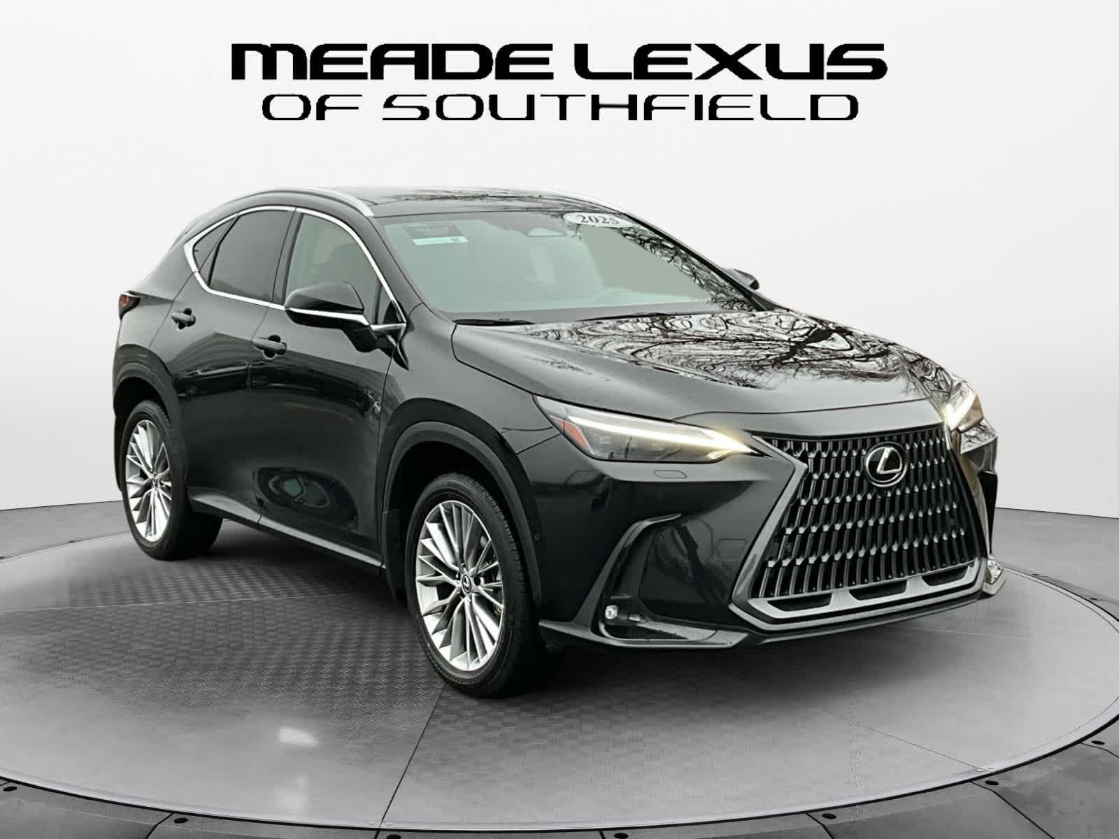2025 Lexus NX Luxury