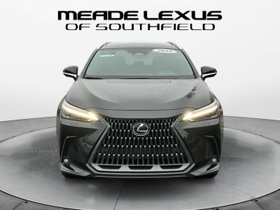 2025 Lexus NX Luxury