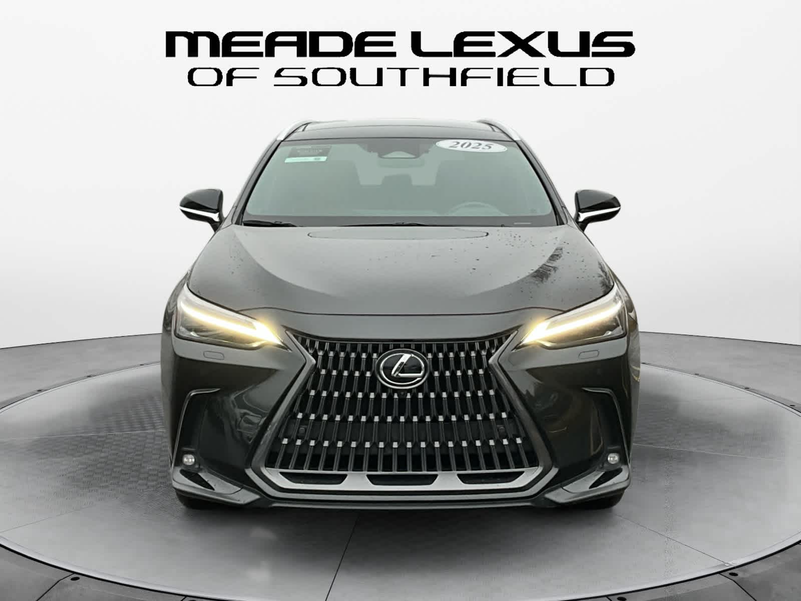 2025 Lexus NX Luxury