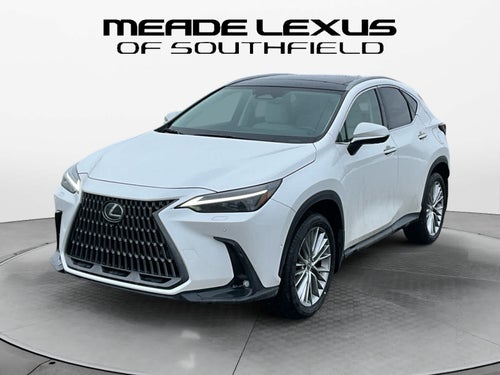 2025 Lexus NX Luxury