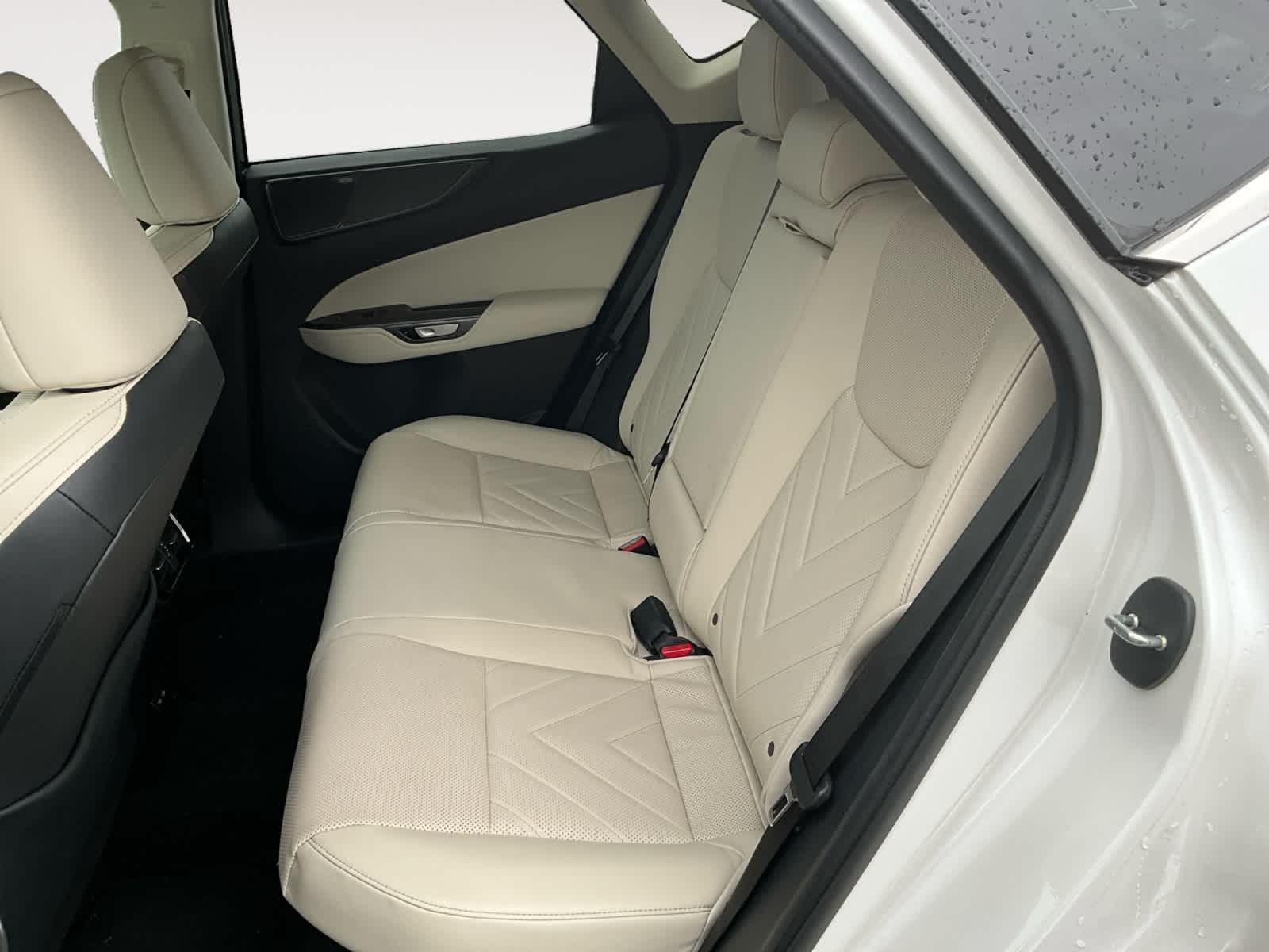 2025 Lexus NX Luxury