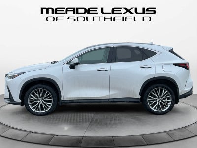 2025 Lexus NX Luxury
