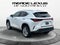 2025 Lexus NX Luxury