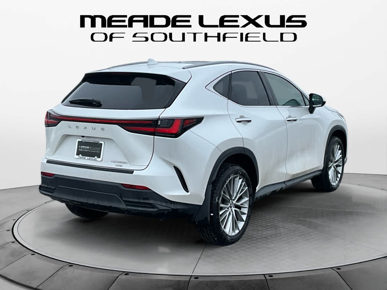 2025 Lexus NX Luxury