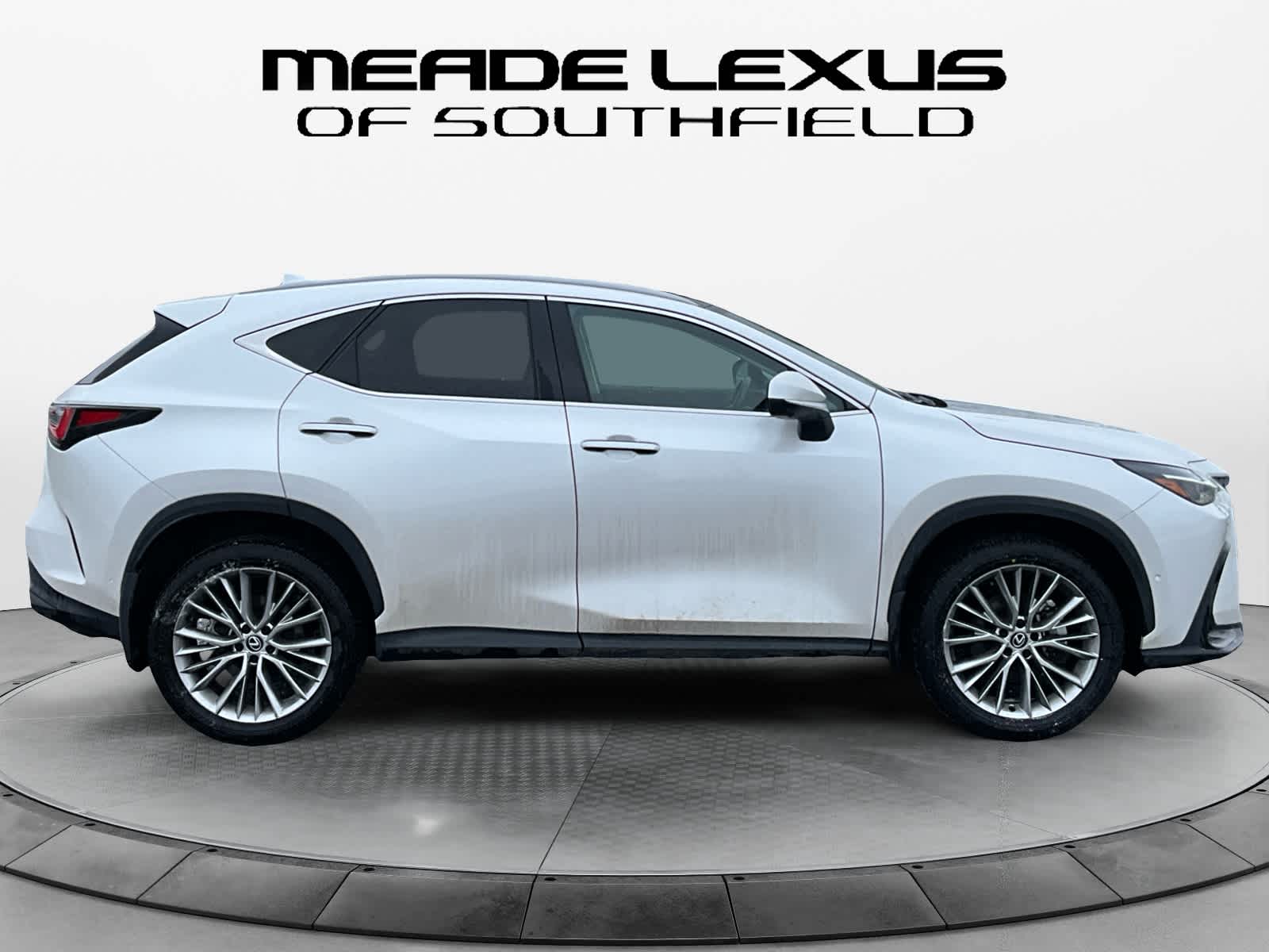 2025 Lexus NX Luxury
