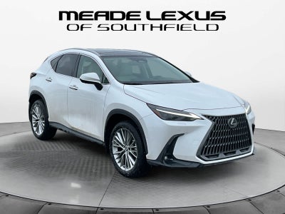 2025 Lexus NX Luxury