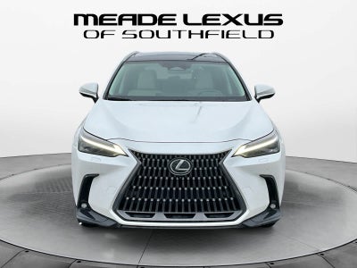 2025 Lexus NX Luxury