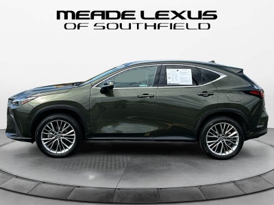 2026 Lexus NX 350h Luxury