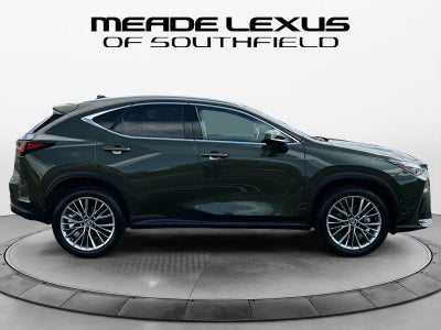 2026 Lexus NX 350h Luxury