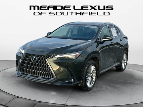 2025 Lexus NX Luxury