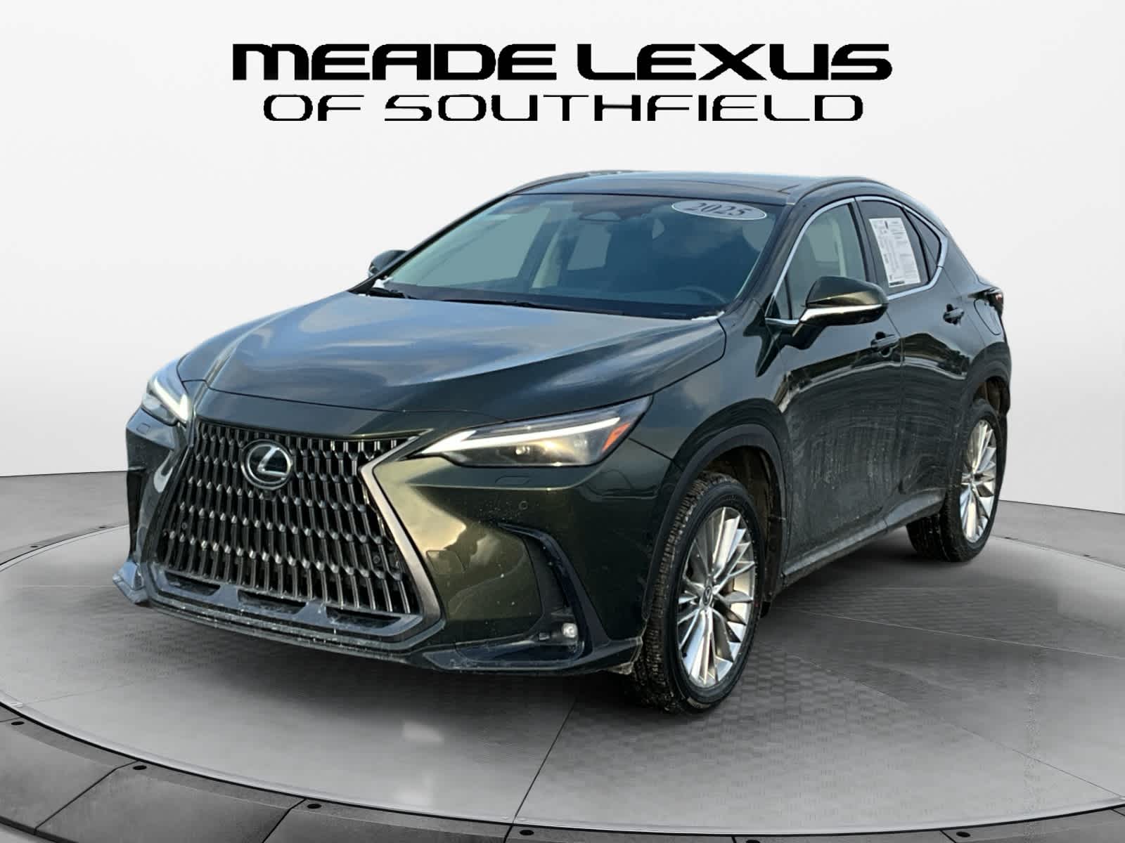 2025 Lexus NX Luxury