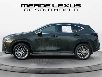 2025 Lexus NX Luxury
