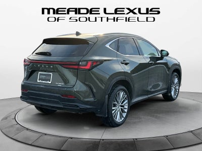 2025 Lexus NX Luxury