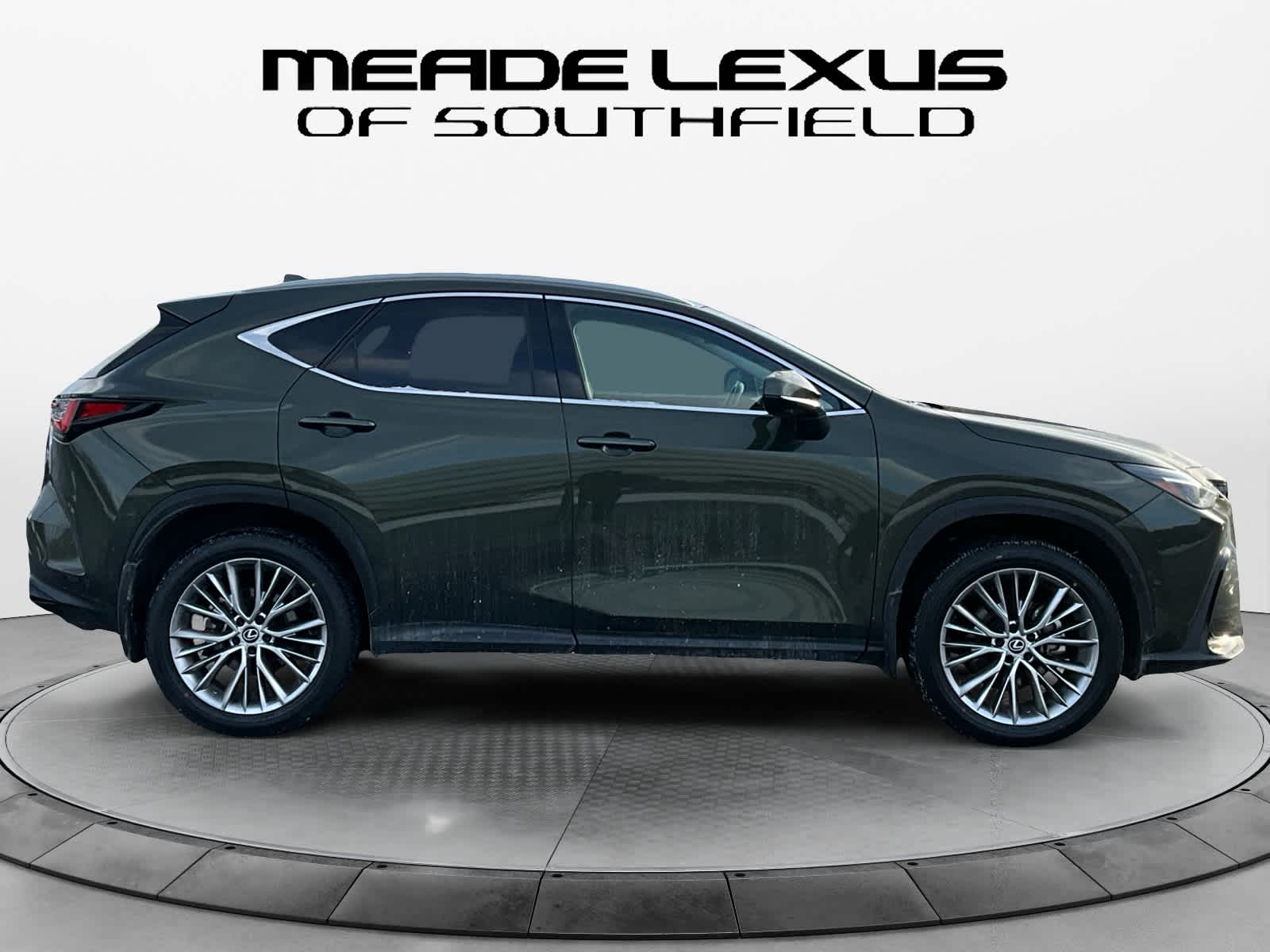 2025 Lexus NX Luxury