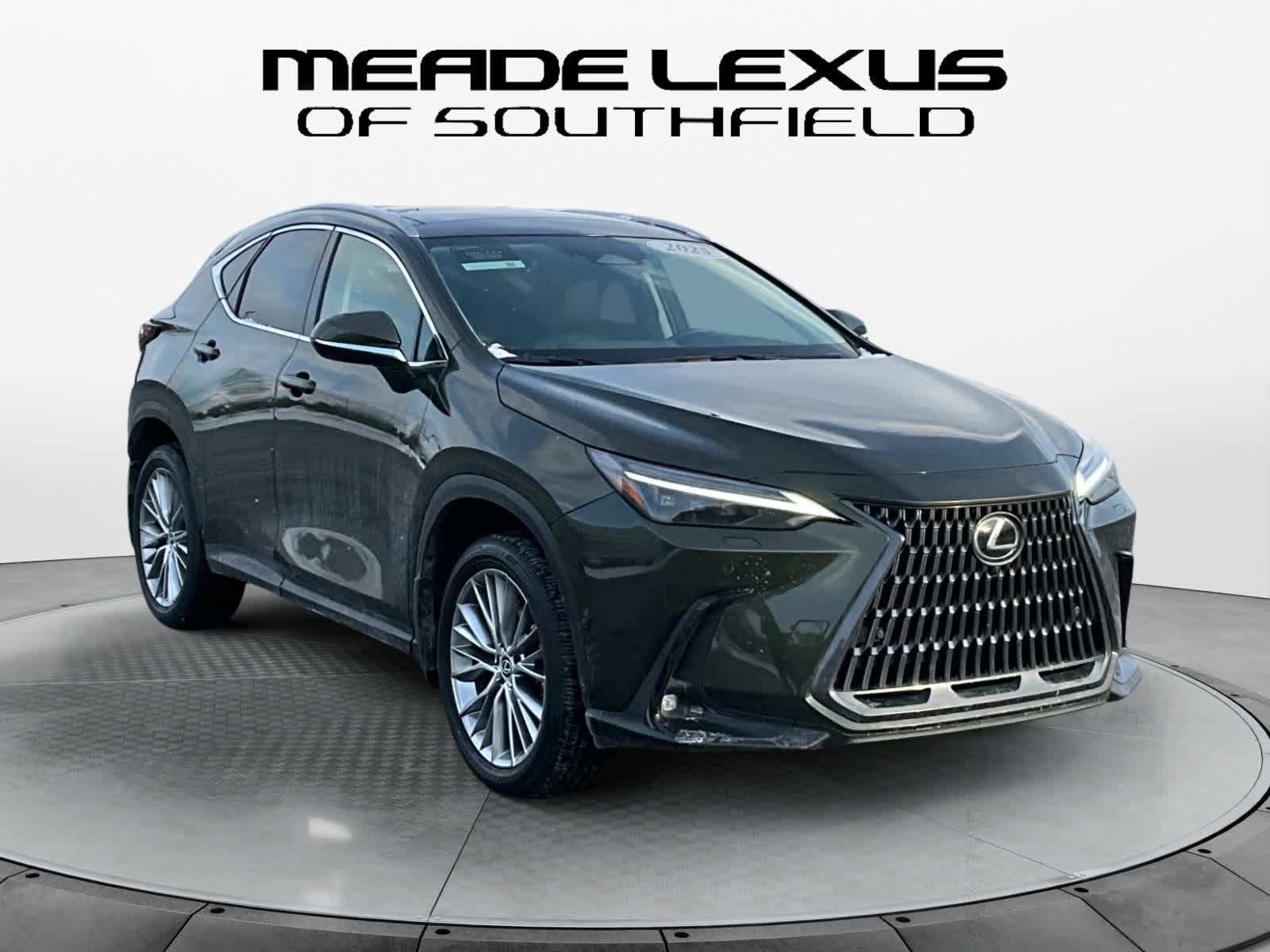 2025 Lexus NX Luxury
