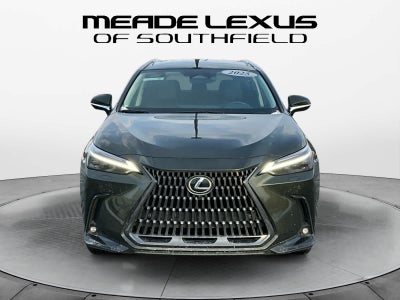 2025 Lexus NX Luxury