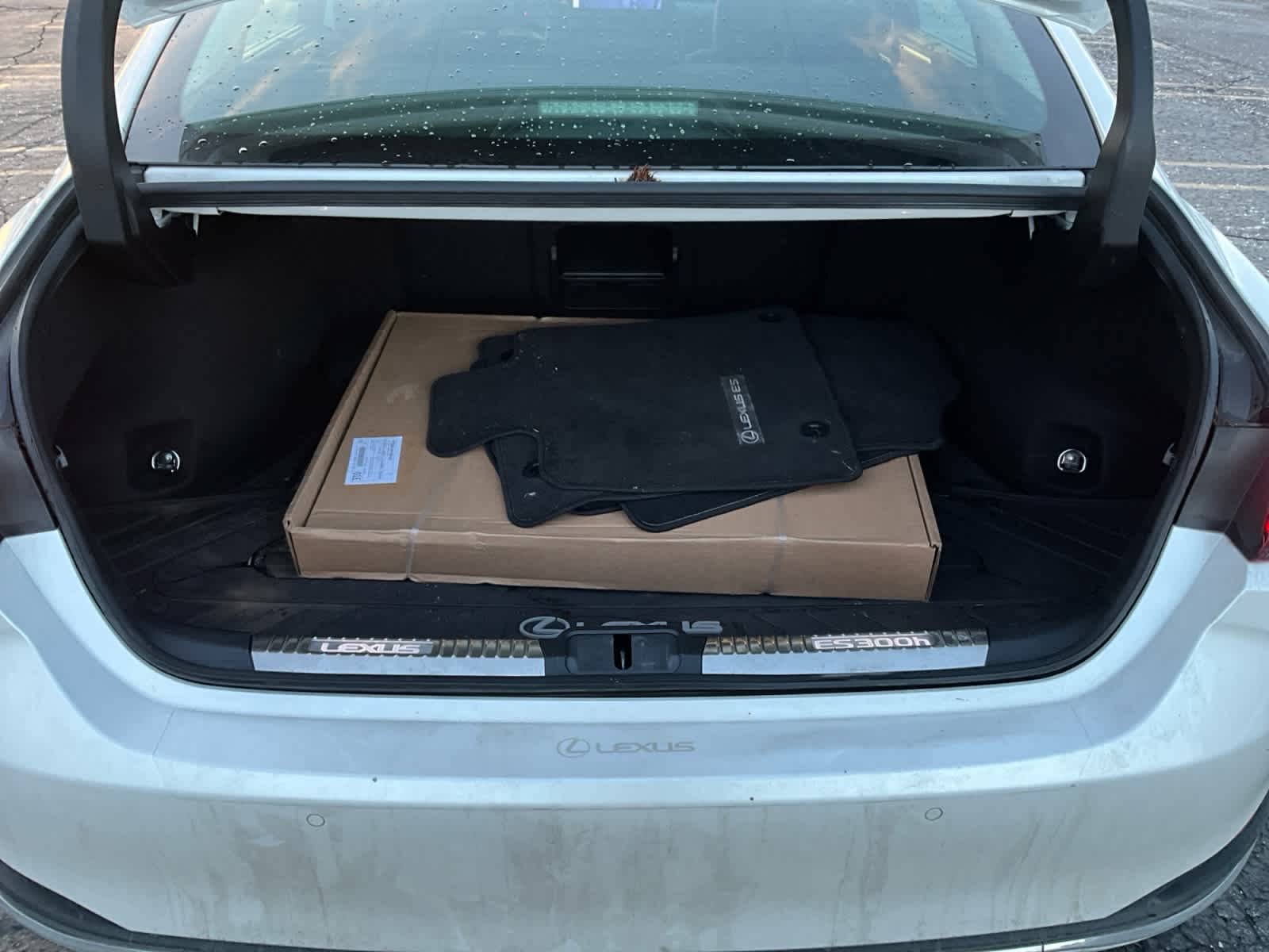 2023 Lexus ES Ultra Luxury