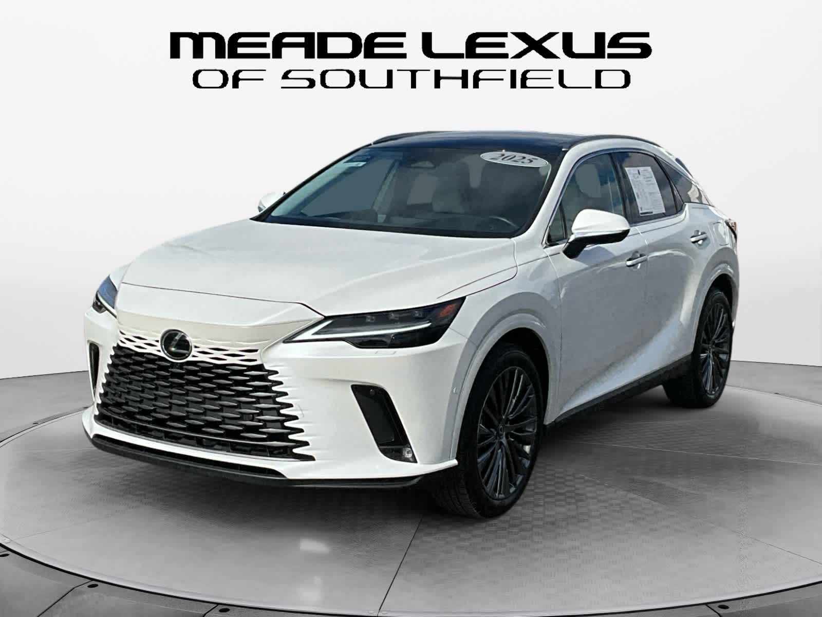 2025 Lexus RX Luxury