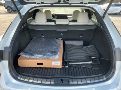 2025 Lexus RX Luxury