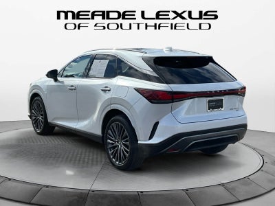 2025 Lexus RX Luxury