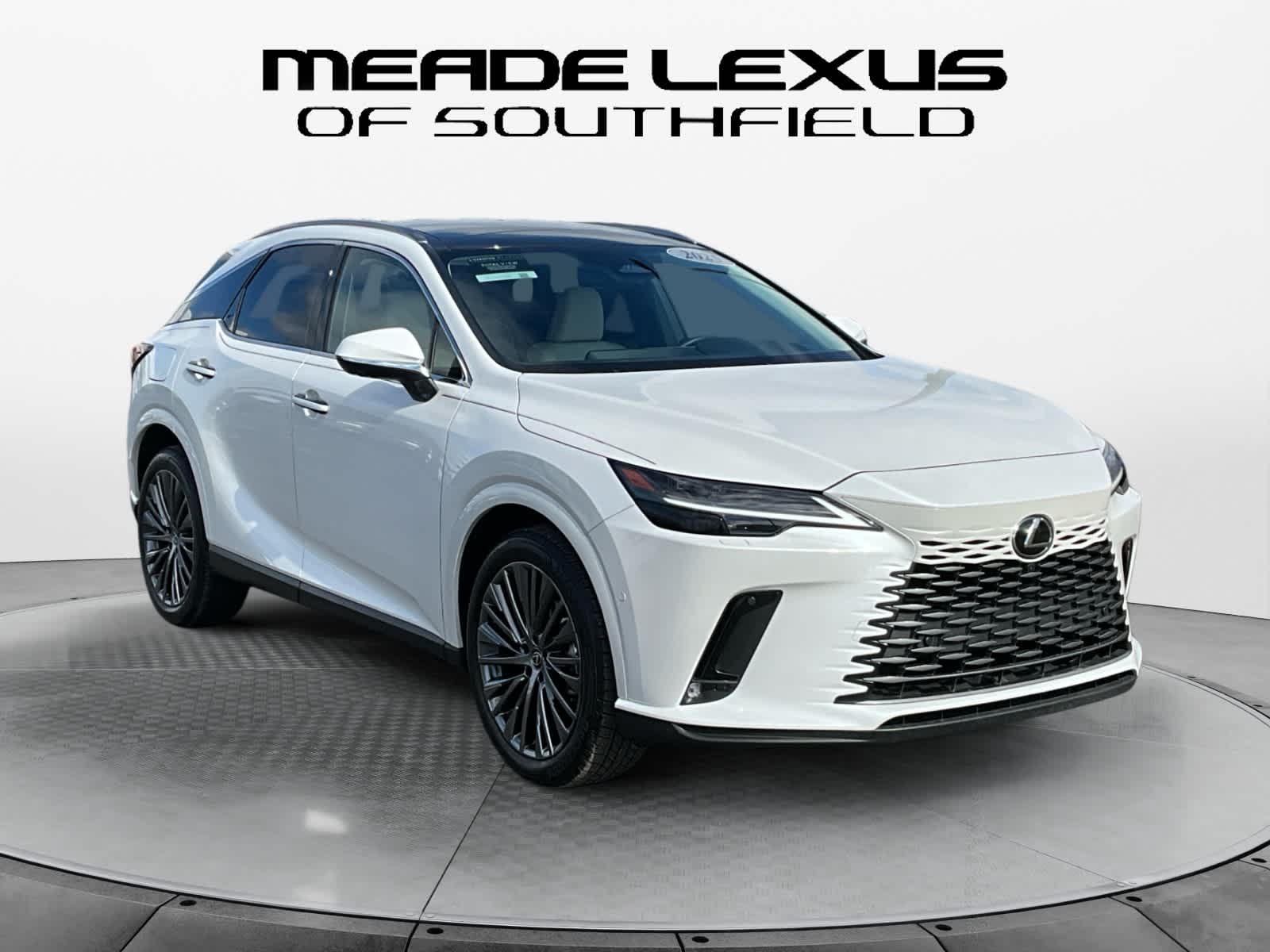2025 Lexus RX Luxury