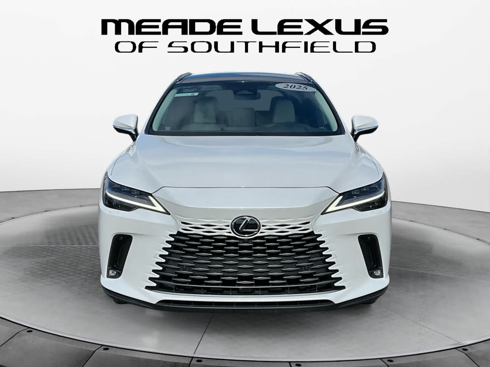 2025 Lexus RX Luxury