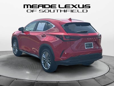 2025 Lexus NX 350h Premium