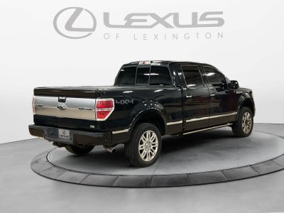 2010 Ford F-150 Platinum