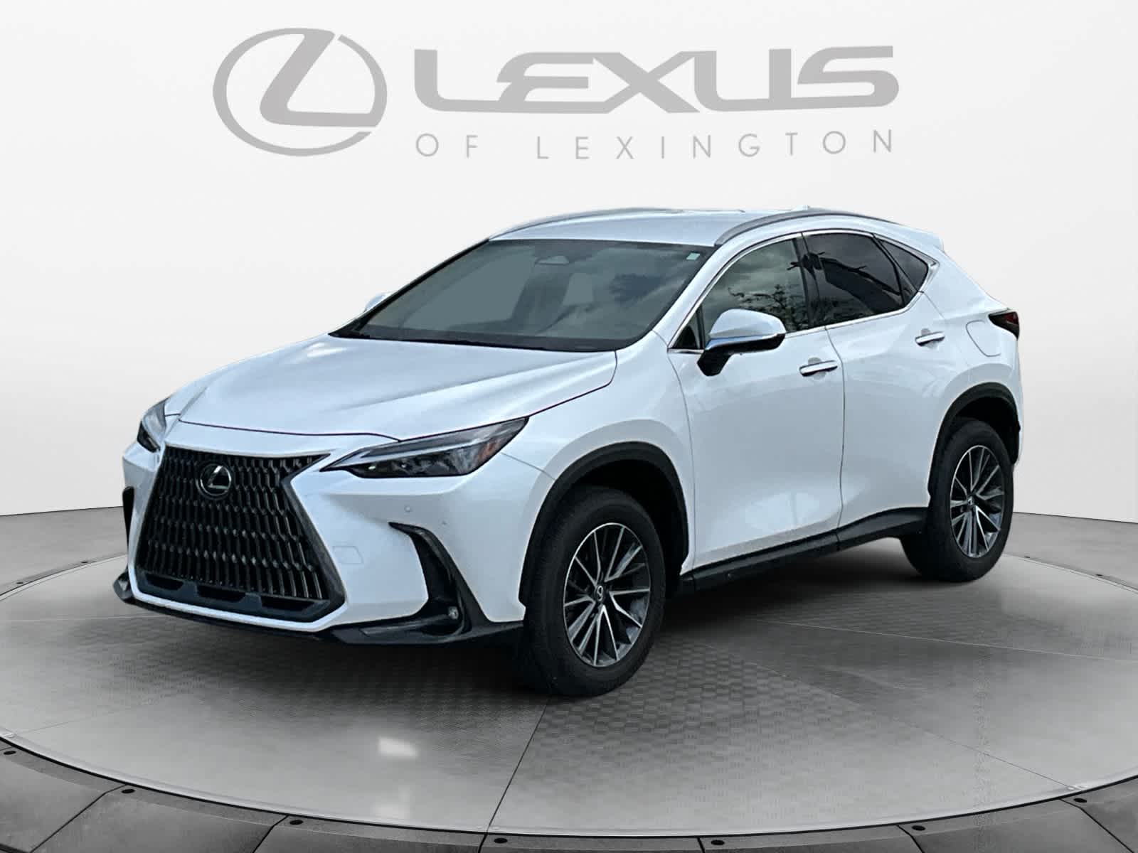 2025 Lexus NX 250 NX 250
