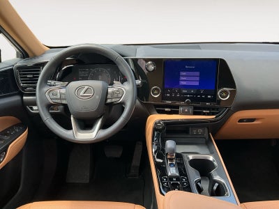 2025 Lexus NX 250 NX 250