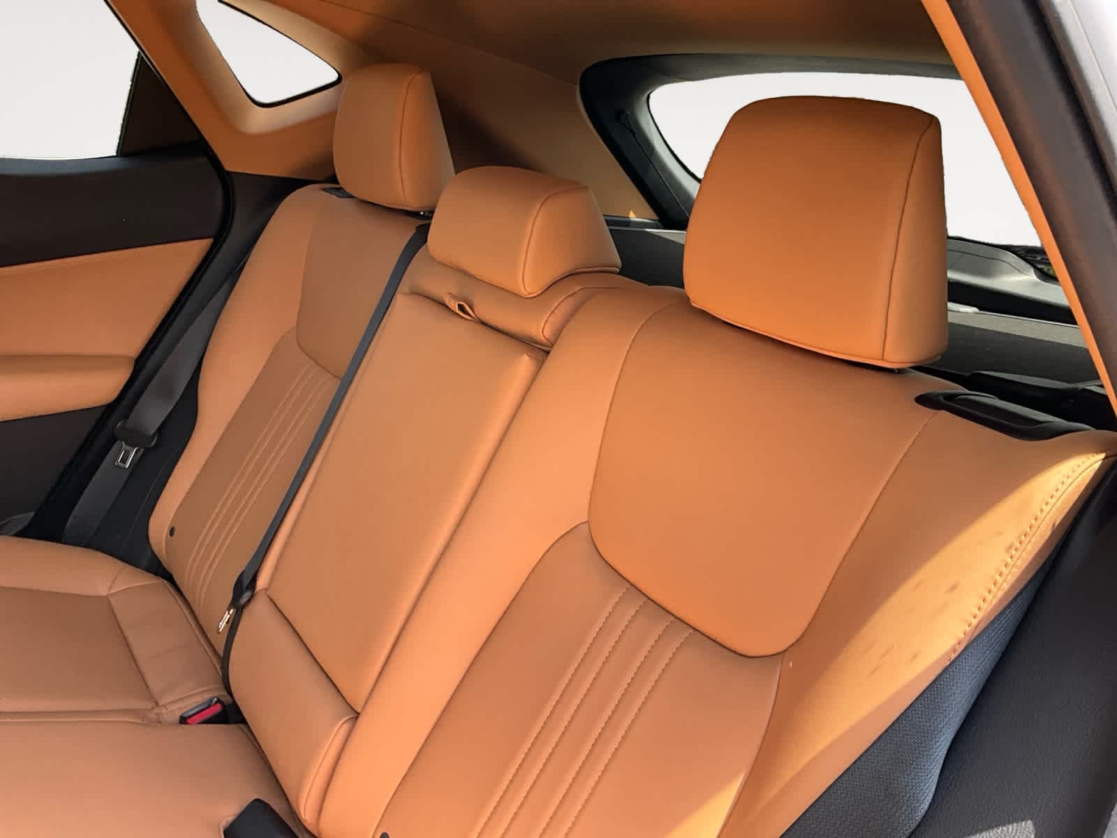 2025 Lexus NX 250 NX 250