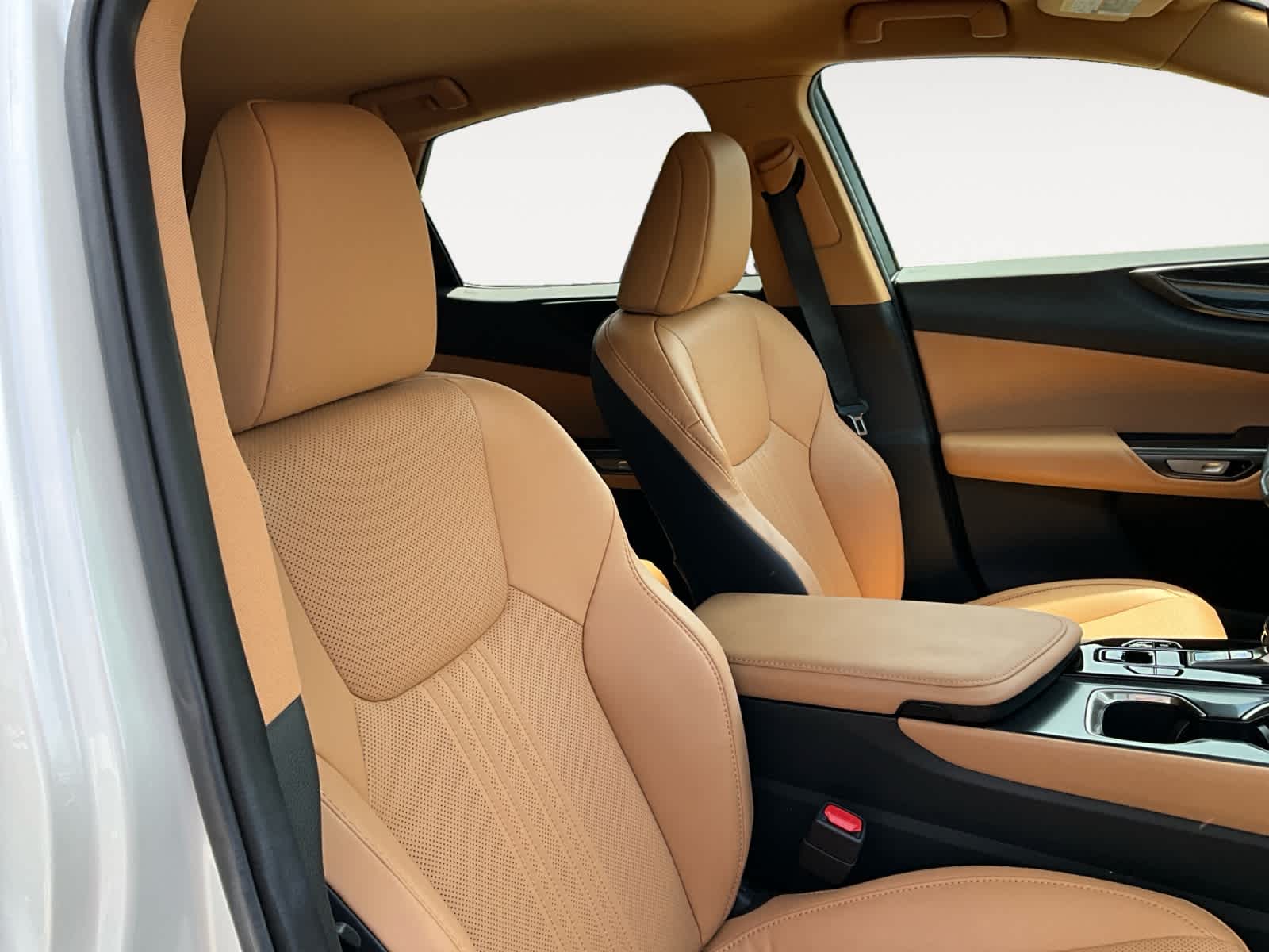 2025 Lexus NX 250 NX 250