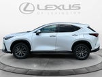 2025 Lexus NX 250 NX 250