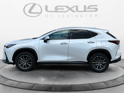 2025 Lexus NX 250 NX 250