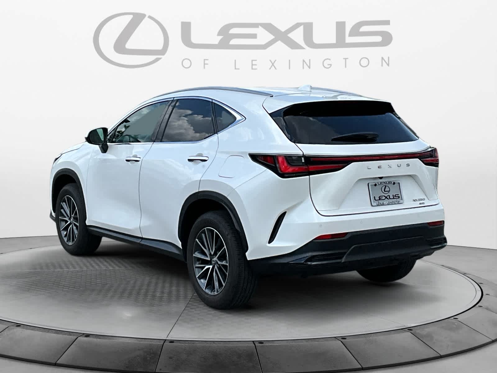 2025 Lexus NX 250 NX 250