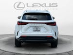 2025 Lexus NX 250 NX 250
