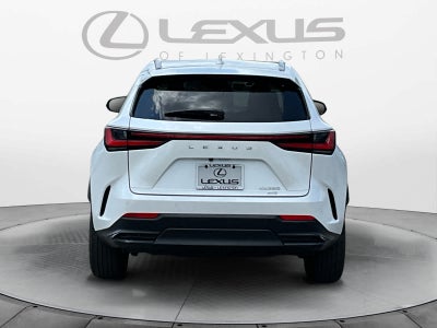 2025 Lexus NX 250 NX 250