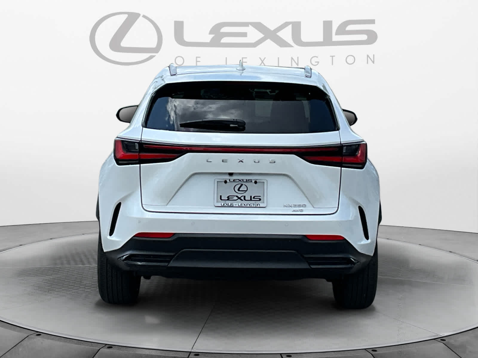 2025 Lexus NX 250 NX 250