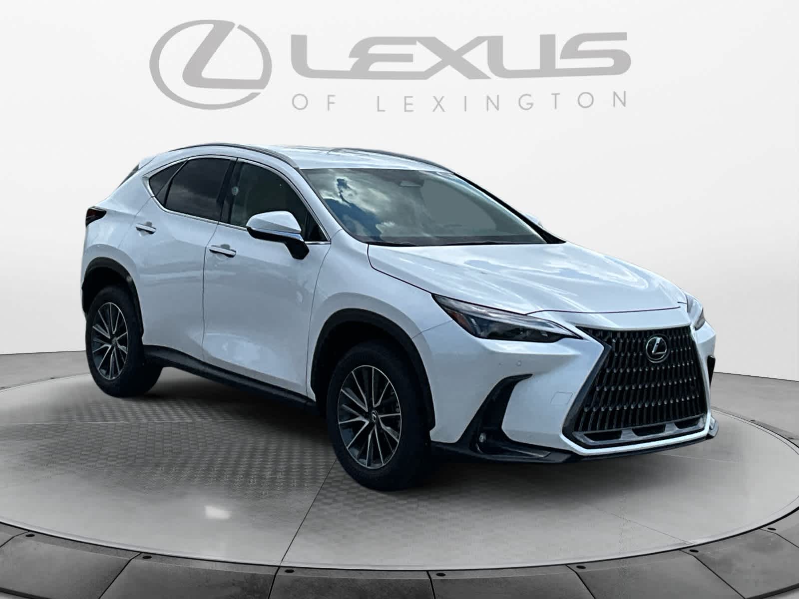 2025 Lexus NX 250 NX 250