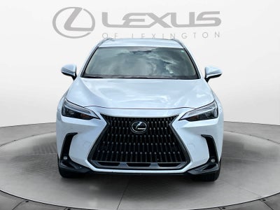 2025 Lexus NX 250 NX 250