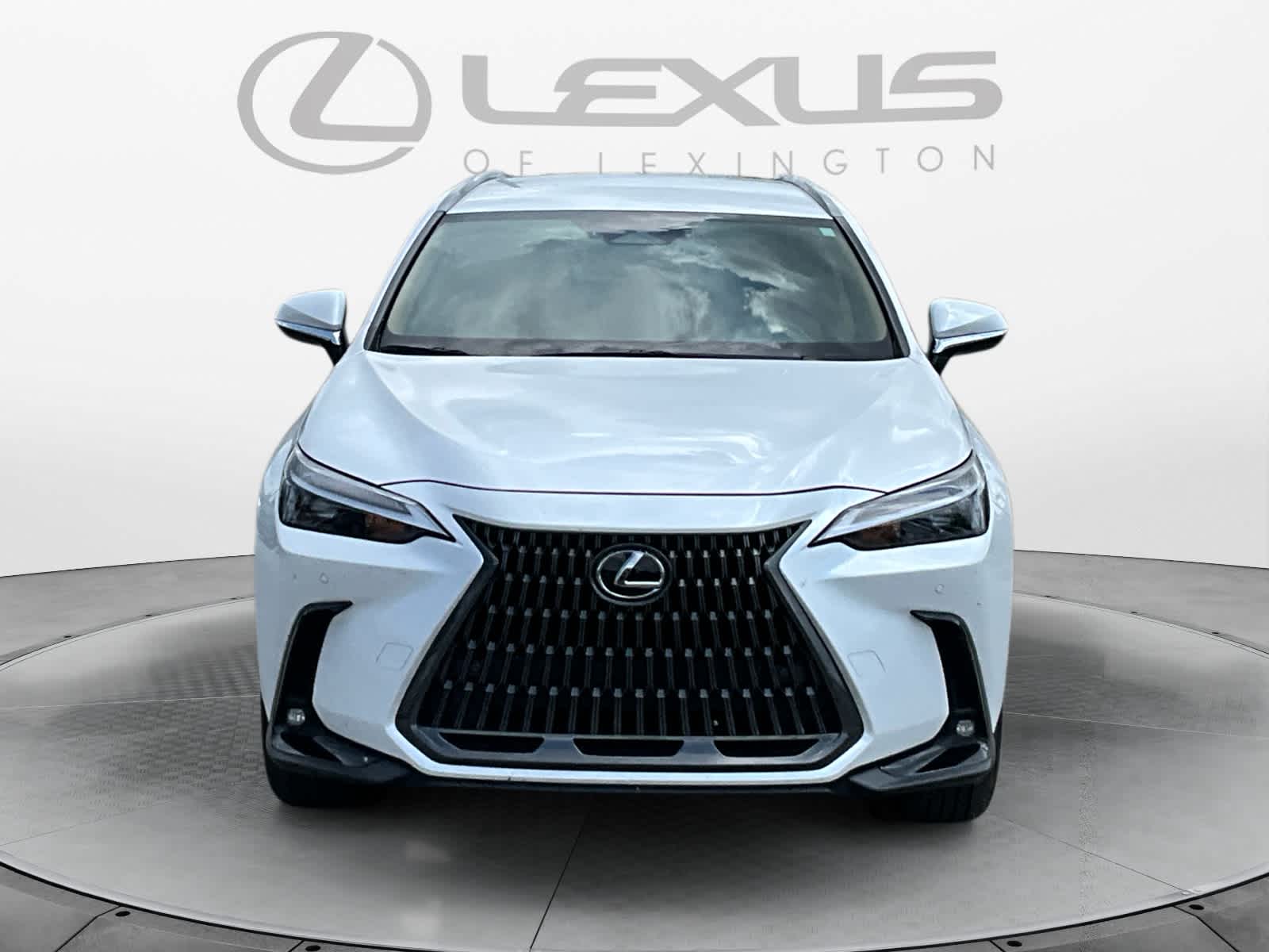 2025 Lexus NX 250 NX 250