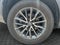 2023 Lexus NX 250 NX 250