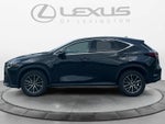 2023 Lexus NX 250 NX 250