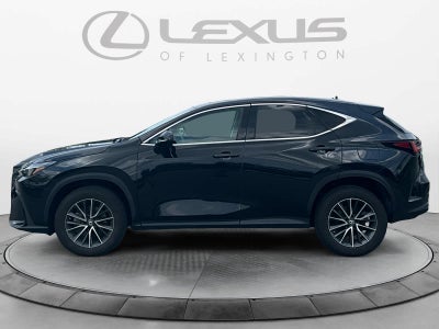2023 Lexus NX 250 NX 250