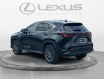 2023 Lexus NX 250 NX 250