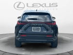 2023 Lexus NX 250 NX 250